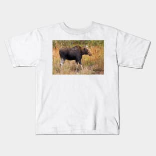 Moose - Algonquin Park, Canada Kids T-Shirt